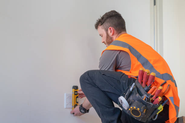 Best Circuit Breaker Repair  in Dewitt, MI