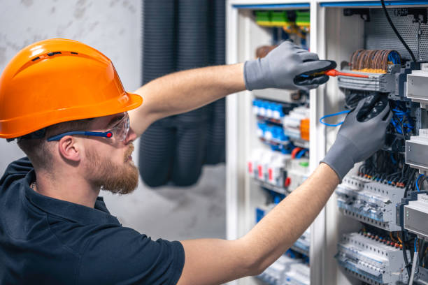 Best Ceiling Fan Installation Electrician  in Dewitt, MI
